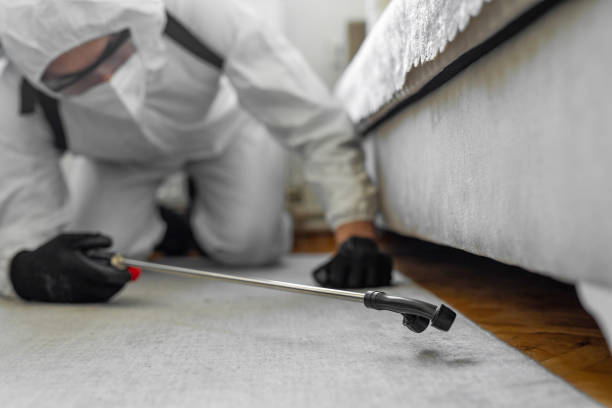 Professional Pest Control technician working in Sacramento County County, CA